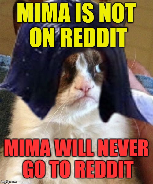 Grumpy doMima (flipped) | MIMA IS NOT ON REDDIT MIMA WILL NEVER GO TO REDDIT | image tagged in grumpy domima flipped | made w/ Imgflip meme maker