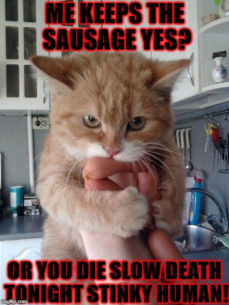 ME KEEPS THE SAUSAGE YES? OR YOU DIE SLOW DEATH TONIGHT STINKY HUMAN! | image tagged in defiant turd | made w/ Imgflip meme maker