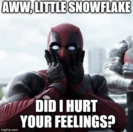 Deadpool Surprised Meme | AWW, LITTLE SNOWFLAKE; DID I HURT YOUR FEELINGS? | image tagged in memes,deadpool surprised | made w/ Imgflip meme maker