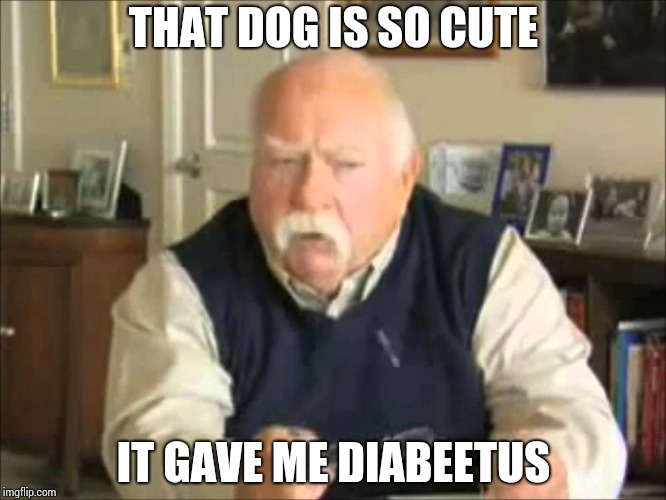 THAT DOG IS SO CUTE IT GAVE ME DIABEETUS | image tagged in wilford | made w/ Imgflip meme maker