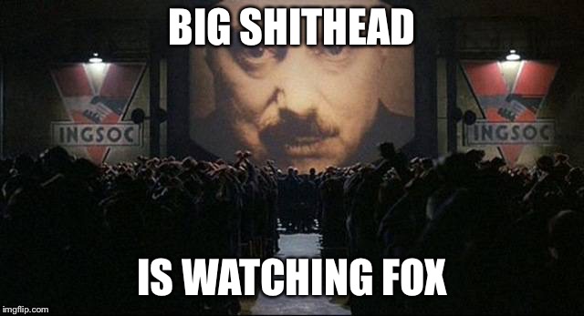 Big Brother 1984 | BIG SHITHEAD; IS WATCHING FOX | image tagged in big brother 1984 | made w/ Imgflip meme maker