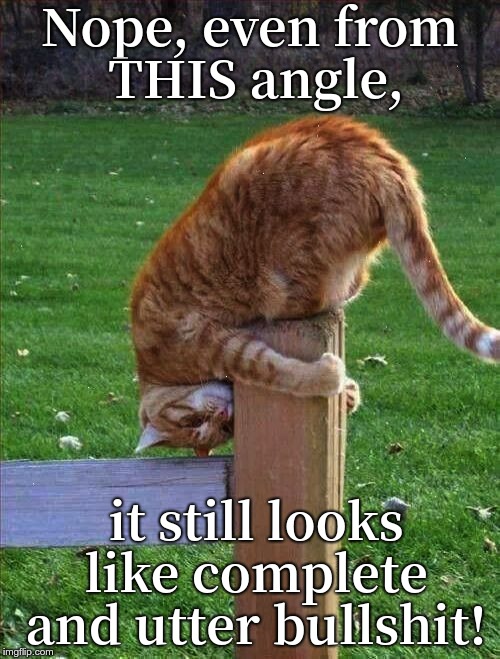 Nope, even from THIS angle, it still looks like complete and utter bullshit! | image tagged in another upside down cat | made w/ Imgflip meme maker