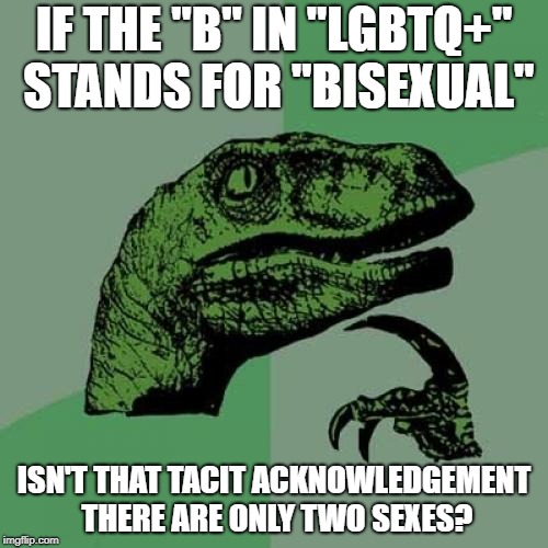 Philosoraptor Meme | IF THE "B" IN "LGBTQ+" STANDS FOR "BISEXUAL"; ISN'T THAT TACIT ACKNOWLEDGEMENT THERE ARE ONLY TWO SEXES? | image tagged in memes,philosoraptor,two sexes,lbgtq | made w/ Imgflip meme maker
