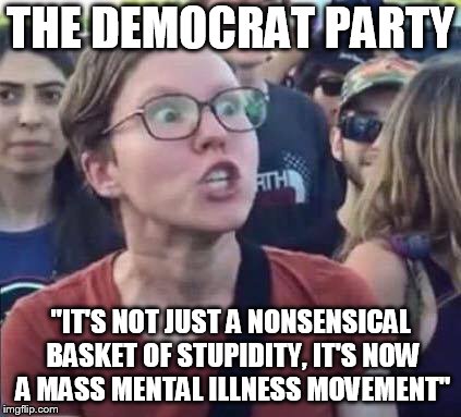 The Deranged Left | THE DEMOCRAT PARTY; "IT'S NOT JUST A NONSENSICAL BASKET OF STUPIDITY, IT'S NOW A MASS MENTAL ILLNESS MOVEMENT" | image tagged in angry liberal | made w/ Imgflip meme maker