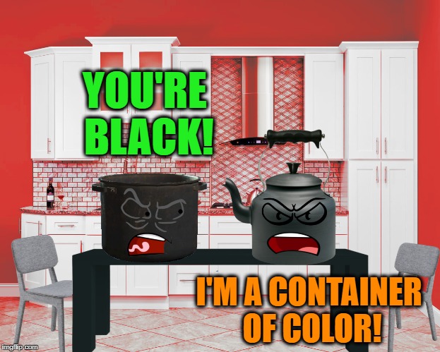 Idioms in 2018 | YOU'RE BLACK! I'M A CONTAINER OF COLOR! | image tagged in memes | made w/ Imgflip meme maker