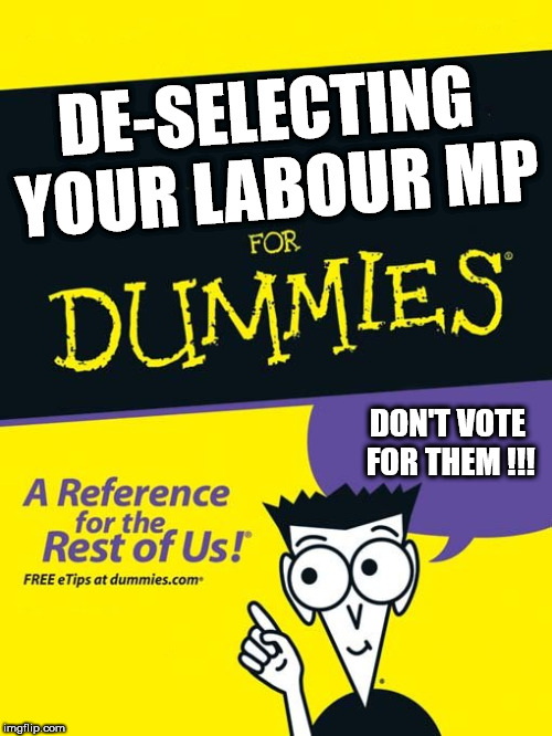 De-Selecting your Labour MP | DE-SELECTING YOUR LABOUR MP; DON'T VOTE FOR THEM !!! | image tagged in for dummies book,corbyn eww,party of hate,communist socialist,momentum,mcdonnell abbott | made w/ Imgflip meme maker