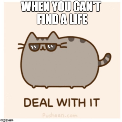 Pusheen Deal With It | WHEN YOU CAN'T FIND A LIFE | image tagged in pusheen deal with it | made w/ Imgflip meme maker