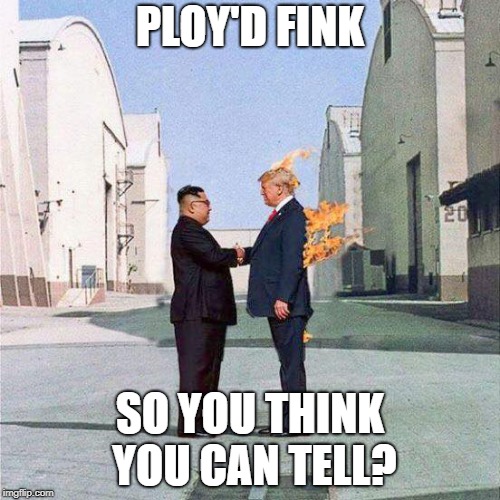 PLOY'D FINK; SO YOU THINK YOU CAN TELL? | image tagged in korea,trump,pink floyd | made w/ Imgflip meme maker