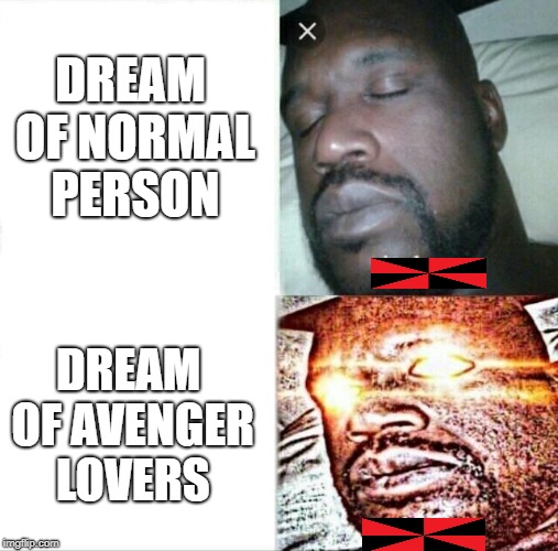 Sleeping Shaq Meme | DREAM OF NORMAL PERSON; DREAM OF AVENGER LOVERS | image tagged in memes,sleeping shaq | made w/ Imgflip meme maker