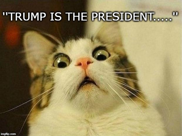 Scared Cat | ''TRUMP IS THE PRESIDENT.....'' | image tagged in memes,scared cat | made w/ Imgflip meme maker