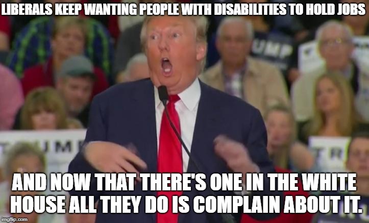 Donald Trump Mocking Disabled | LIBERALS KEEP WANTING PEOPLE WITH DISABILITIES TO HOLD JOBS; AND NOW THAT THERE'S ONE IN THE WHITE HOUSE ALL THEY DO IS COMPLAIN ABOUT IT. | image tagged in donald trump mocking disabled | made w/ Imgflip meme maker