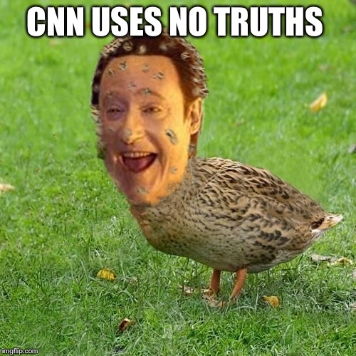 Cool Bullshit Da data duckith | CNN USES NO TRUTHS | image tagged in cool bullshit da data duckith | made w/ Imgflip meme maker