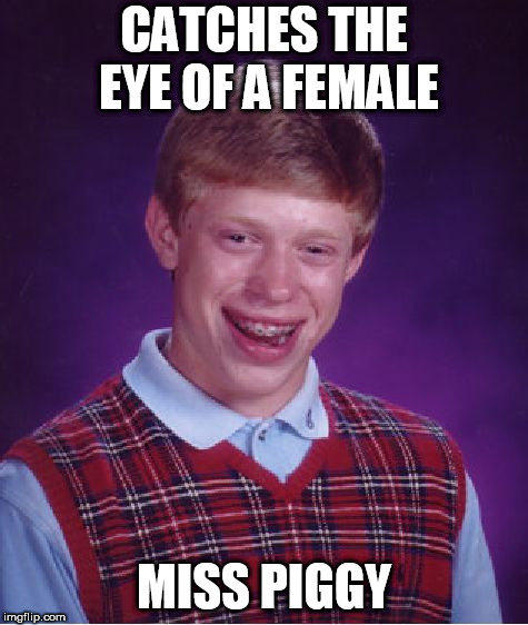 Oh damn | CATCHES THE EYE OF A FEMALE; MISS PIGGY | image tagged in memes,bad luck brian,miss piggy,kermit the frog | made w/ Imgflip meme maker
