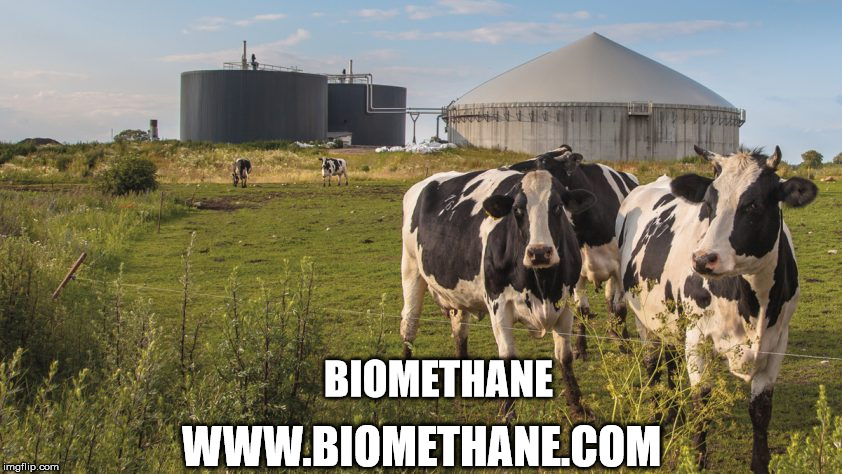 Biomethane | BIOMETHANE; WWW.BIOMETHANE.COM | image tagged in anaerobic digester,biogas,biomethane,renewable natural gas,rng,biogas plant | made w/ Imgflip meme maker