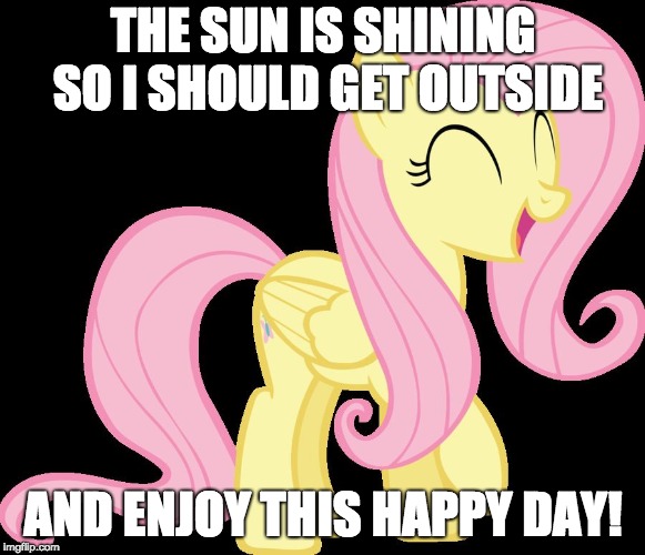 Happy Fluttershy | THE SUN IS SHINING SO I SHOULD GET OUTSIDE; AND ENJOY THIS HAPPY DAY! | image tagged in happy fluttershy | made w/ Imgflip meme maker