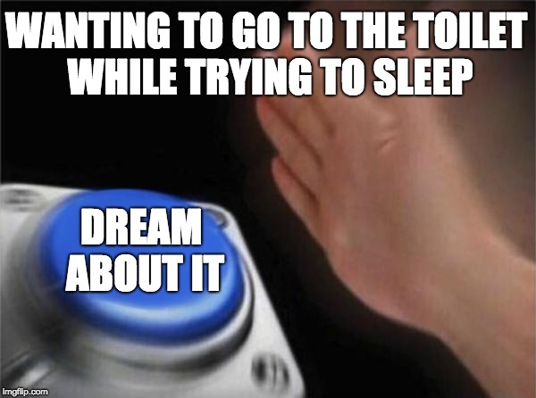 Blank Nut Button Meme | WANTING TO GO TO THE TOILET WHILE TRYING TO SLEEP; DREAM ABOUT IT | image tagged in memes,blank nut button | made w/ Imgflip meme maker