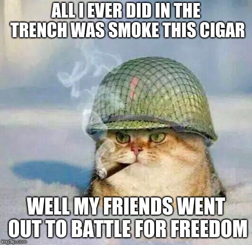 War Cat | ALL I EVER DID IN THE TRENCH WAS SMOKE THIS CIGAR; WELL MY FRIENDS WENT OUT TO BATTLE FOR FREEDOM | image tagged in war cat | made w/ Imgflip meme maker