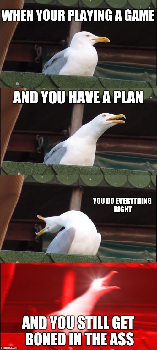 Inhaling Seagull Meme | WHEN YOUR PLAYING A GAME; AND YOU HAVE A PLAN; YOU DO EVERYTHING RIGHT; AND YOU STILL GET BONED IN THE ASS | image tagged in memes,inhaling seagull | made w/ Imgflip meme maker