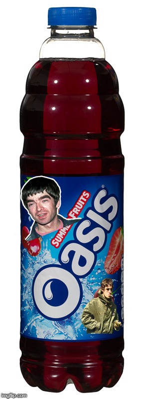 Bad editing but I don't care | . | image tagged in meme,oasis,liam gallagher,noel gallagher,bad pun | made w/ Imgflip meme maker