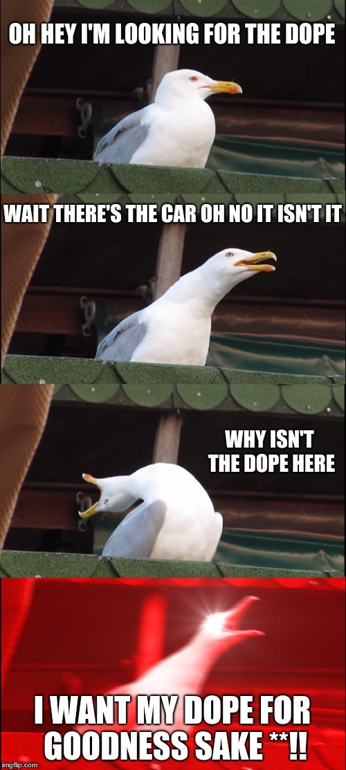 Inhaling Seagull | OH HEY I'M LOOKING FOR THE DOPE; WAIT THERE'S THE CAR OH NO IT ISN'T IT; WHY ISN'T THE DOPE HERE; I WANT MY DOPE FOR GOODNESS SAKE **!! | image tagged in memes,inhaling seagull | made w/ Imgflip meme maker