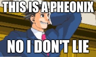 Pheonix Wright | THIS IS A PHEONIX; NO I DON'T LIE | image tagged in pheonix wright | made w/ Imgflip meme maker