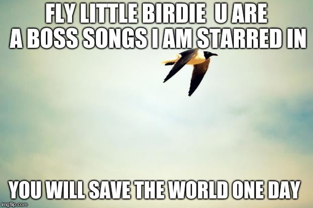 Birds | FLY LITTLE BIRDIE  U ARE A BOSS
SONGS I AM STARRED IN; YOU WILL SAVE THE WORLD ONE DAY | image tagged in birds | made w/ Imgflip meme maker