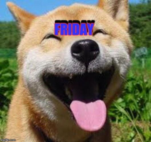 Happy Doge | FRIDAY; FRIDAY | image tagged in happy doge | made w/ Imgflip meme maker