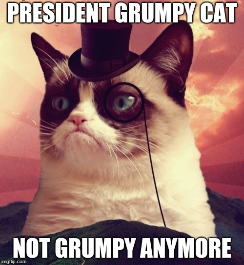 Grumpy Cat Top Hat Meme | PRESIDENT GRUMPY CAT; NOT GRUMPY ANYMORE | image tagged in memes,grumpy cat top hat,grumpy cat | made w/ Imgflip meme maker