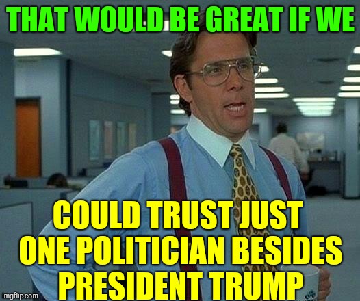 Politicians Stick Together Like Rat King* | THAT WOULD BE GREAT IF WE; COULD TRUST JUST ONE POLITICIAN BESIDES PRESIDENT TRUMP | image tagged in that would be great,vince vance,potus,i hate politicians,washington insiders,deep state | made w/ Imgflip meme maker