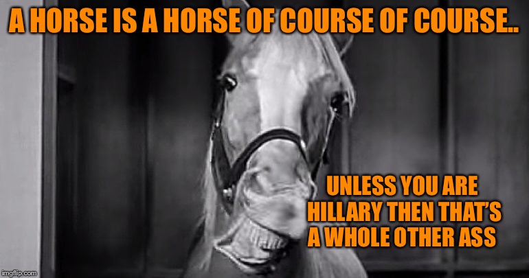 A HORSE IS A HORSE OF COURSE OF COURSE.. UNLESS YOU ARE HILLARY THEN THAT’S A WHOLE OTHER ASS | made w/ Imgflip meme maker