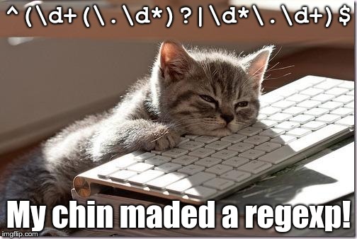Bored Keyboard Cat | ^(\d+(\.\d*)?|\d*\.\d+)$; My chin maded a regexp! | image tagged in bored keyboard cat | made w/ Imgflip meme maker