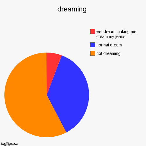 dreaming | not dreaming, normal dream, wet dream making me cream my jeans | image tagged in funny,pie charts | made w/ Imgflip chart maker