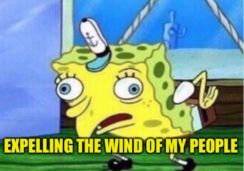 Mocking Spongebob Meme | EXPELLING THE WIND OF MY PEOPLE | image tagged in memes,mocking spongebob | made w/ Imgflip meme maker