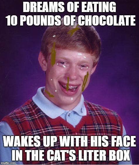 DREAMS OF EATING 10 POUNDS OF CHOCOLATE WAKES UP WITH HIS FACE IN THE CAT'S LITER BOX | image tagged in memes,bad luck brian | made w/ Imgflip meme maker