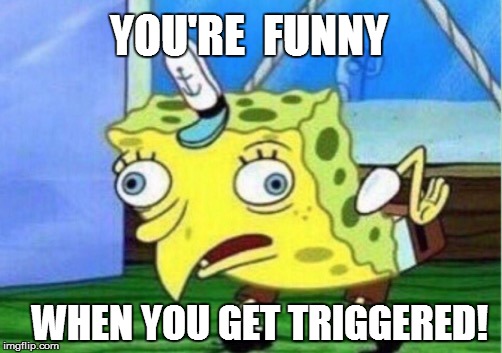 Mocking Spongebob Meme | YOU'RE  FUNNY WHEN YOU GET TRIGGERED! | image tagged in memes,mocking spongebob | made w/ Imgflip meme maker