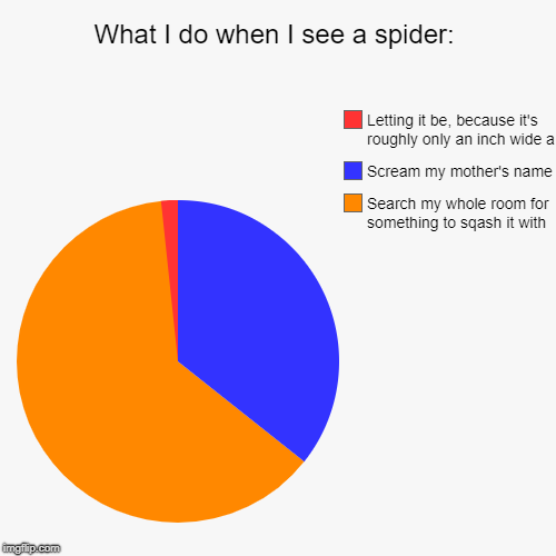 What I do when I see a spider: | Search my whole room for something to sqash it with, Scream my mother's name, Letting it be, because it's r | image tagged in funny,pie charts | made w/ Imgflip chart maker
