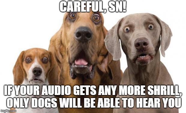surprised dogs | CAREFUL, SN! IF YOUR AUDIO GETS ANY MORE SHRILL, ONLY DOGS WILL BE ABLE TO HEAR YOU | image tagged in surprised dogs | made w/ Imgflip meme maker