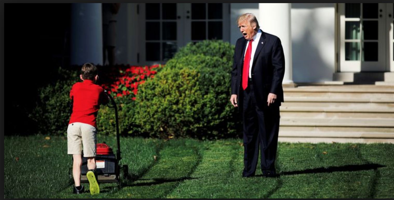 High Quality lawnmower boy Blank Meme Template