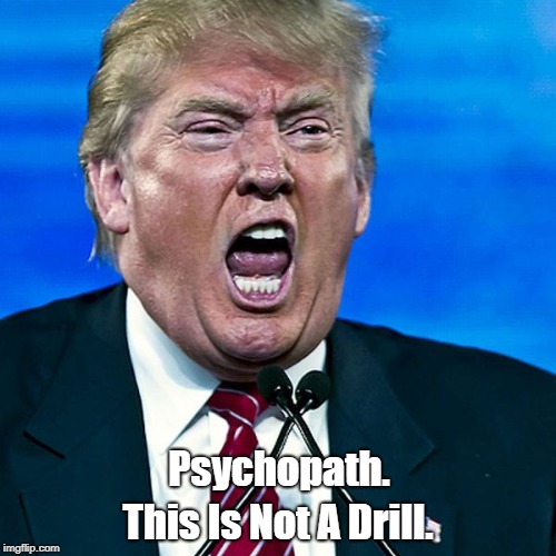 Psychopath. This Is Not A Drill. | made w/ Imgflip meme maker