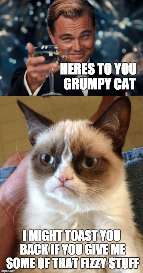 HERES TO YOU GRUMPY CAT; I MIGHT TOAST YOU BACK IF YOU GIVE ME SOME OF THAT FIZZY STUFF | made w/ Imgflip meme maker