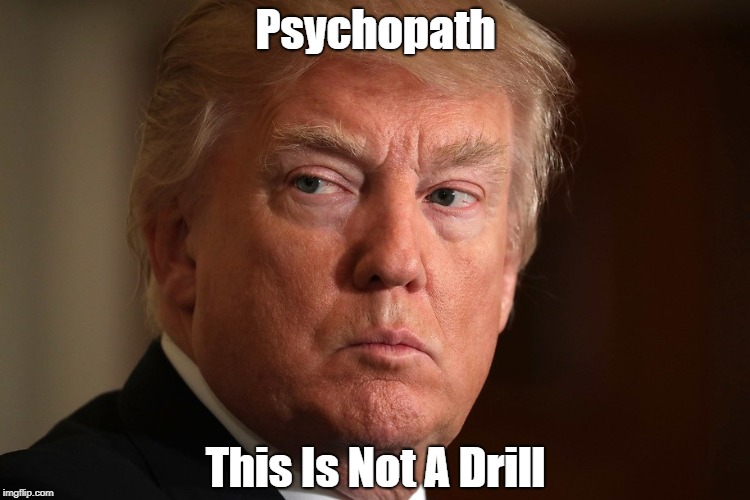 Psychopath This Is Not A Drill | made w/ Imgflip meme maker