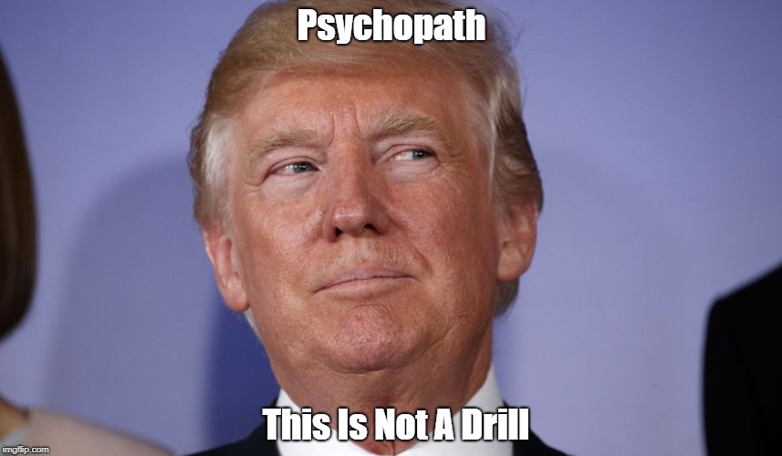 "Psychopath: This Is Not A Drill" | Psychopath; This Is Not A Drill | image tagged in deplorable donald,despicable donald,detestable donald,devious donald,dishonorable donald,dishonest donald | made w/ Imgflip meme maker