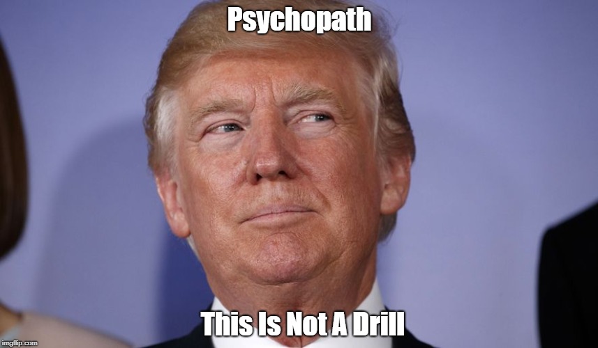 Psychopath This Is Not A Drill | made w/ Imgflip meme maker