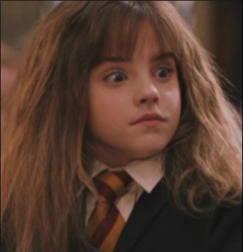 the face you make when someone says they hate harry potter Blank Meme Template