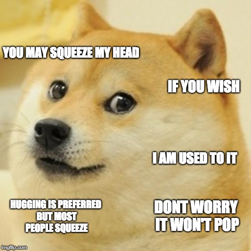 Doge Meme | YOU MAY SQUEEZE MY HEAD; IF YOU WISH; I AM USED TO IT; HUGGING IS PREFERRED BUT MOST PEOPLE SQUEEZE; DONT WORRY IT WON'T POP | image tagged in memes,doge | made w/ Imgflip meme maker