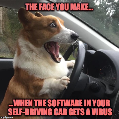 Welcome To The Future, Suckas! | THE FACE YOU MAKE... ...WHEN THE SOFTWARE IN YOUR SELF-DRIVING CAR GETS A VIRUS | image tagged in doggo | made w/ Imgflip meme maker