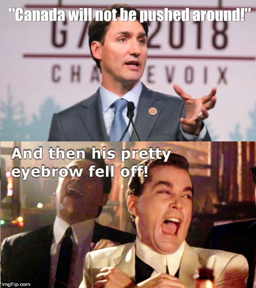 image tagged in his pretty eyebrow,justin trudeau,fake eyebrow | made w/ Imgflip meme maker