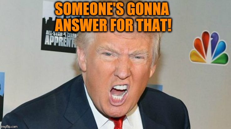 SOMEONE'S GONNA ANSWER FOR THAT! | image tagged in trump mad | made w/ Imgflip meme maker