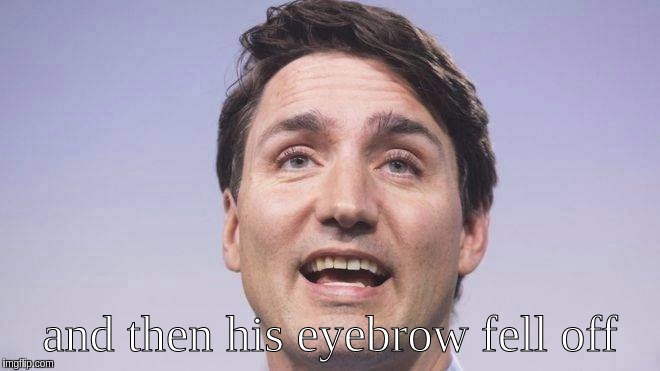 and then his eyebrow fell off | image tagged in justin trudeau,eyebrows,g7 | made w/ Imgflip meme maker