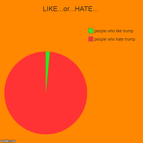 LIKE...or...HATE... | people who hate trump, people who like trump | image tagged in funny,pie charts | made w/ Imgflip chart maker